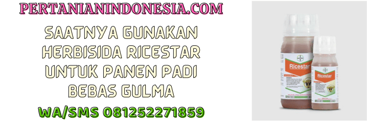 jual,murah,terjangkau,toko pertanian terdekat,pertanian indonesia